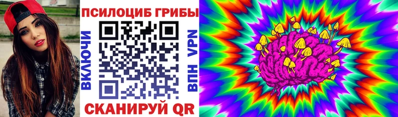 Купить  Пущино  Псилоцибиновые грибы мицелий 
